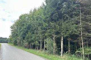 Grundstück zu kaufen in 83569 Vogtareuth, Holz aus dem eigenen Wald