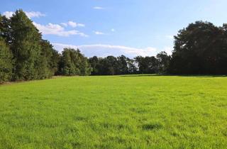 Immobilie kaufen in 21279 Drestedt, Große Forst- und Weideflächen mit Fischteichen in Drestedt