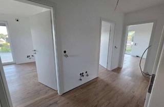 Wohnung mieten in 88433 Schemmerhofen, Kompakte, kleinere 3-Zimmer-Wohnung / Neubau bei Schemmerhofen