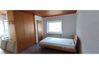 Wohnung mieten in 67688 Rodenbach, Möblierte 1-Zimmer-Wohnung in Rodenbach