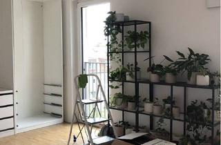 Wohnung mieten in 90489 Veilhof, Nachmieter für helle 1 Zimmer Wohnung gesucht