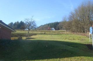 Grundstück zu kaufen in Im Neudorf, 64756 Mossautal, Hier passt EINIGES hin: 10.600m² Bauerwartungsland mit herrlichem Blick über das Mossautal bei Erbac