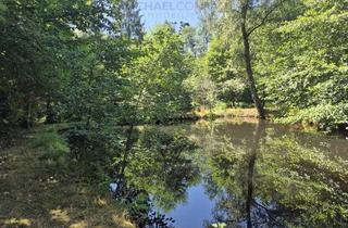 Immobilie kaufen in 66679 Losheim, Wald - und Weihergrundstücke in den Gemarktungen Scheiden und Waldhölzbach