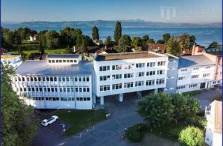 Büro zu mieten in 88085 Langenargen, Büro mit Teilseesicht und zusätzlichem Lager in Langenargen