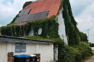 Einfamilienhaus kaufen in 39343 Erxleben, Erxleben - EFH | Heizung 2021 | PV+Speicher | Energie D | provisionsfrei