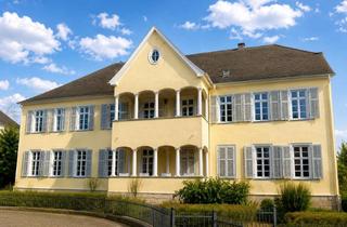 Wohnung kaufen in 63633 Birstein, Beletage im Erbprinzenhaus am Schlosspark Birstein – 240 m², 7 Zimmer, Terrasse mit Parkblick