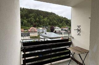 Wohnung kaufen in 79837 St. Blasien, Appartement in der Domstadt St. Blasien