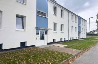 Wohnung mieten in Grafenweg, 32130 Enger, Helle Dachgeschosswohnung in Enger - Ideal für Singles oder Paare