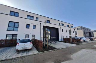 Wohnung mieten in Dr. Maria Stemme Strasse, 33609 Schildesche, 3 Zimmer Wohnung mit kleiner Terrasse im Erdgeschoss