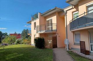 Wohnung mieten in Alte Gärtnerei, 01689 Weinböhla, **Wohnen, wo der Wein fast vor der Tür wächst**