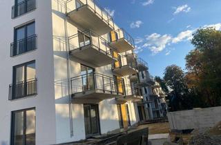 Wohnung mieten in Ruprechtsberg 11c, 84405 Dorfen, Erstbezug 1 Zimmer Apartment mit Balkon, EBK und Balkonkraftwerk
