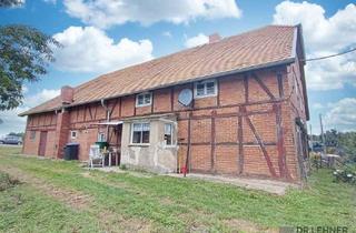 Bauernhaus kaufen in 19309 Lenzen, Bauernhaus mit Stallungen und großem Gartenbereich-direkt am Elbdeich!