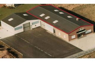 Büro zu mieten in 48629 Metelen, Gewerbeimmobilie Halle + Büro in Metelen ab 01.01.2027 zu vermieten