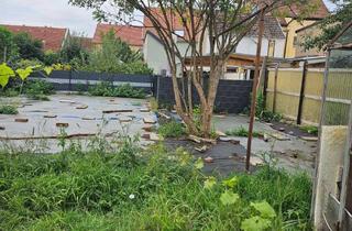 Anlageobjekt in 04931 Mühlberg, home sweet home - perfekte Anlage für kleines Geld zu haben