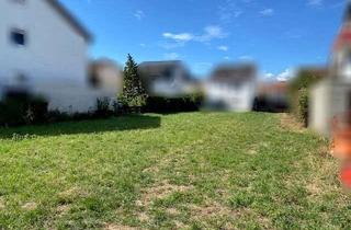 Grundstück zu kaufen in 73265 Dettingen, Tolles Baulückengrundstück