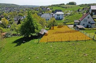 Grundstück zu kaufen in 32602 Vlotho, Weitsicht und Ruhe in Vlotho Ebenöde/Schifferkamp