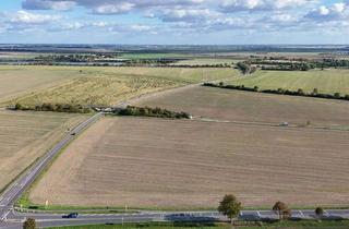 Gewerbeimmobilie kaufen in Stangenweg, 06796 Brehna, Ackerland als Kapitalanlage ca. 7,18 ha mit bestehendem Pachtverhältnis in Brehna