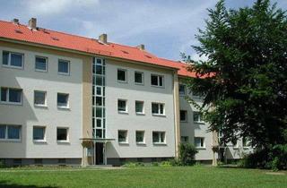 Wohnung mieten in Im Waldwinkel 27, 24109 Hasseldieksdamm, Ihre Zukunft - Ihre Wohnung: sanierte 2-Zimmer-Wohnung