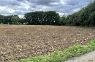 Immobilie kaufen in 45721 Haltern am See, Landwirtschaftliche Fläche in Haltern am See!