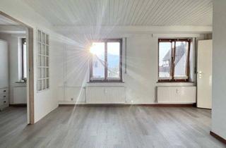 Wohnung mieten in 73207 Plochingen, 73207 Plochingen: 1,5-Zi-Einliegerwohnung in bester Halbhöhenlage. Separater Eingang. Frei.