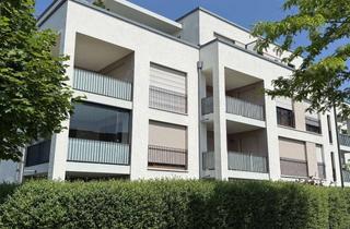 Wohnung mieten in 79189 Bad Krozingen, Bad Krozingen - neuwertige 2 Zi. Wohnung mit Südbalkon