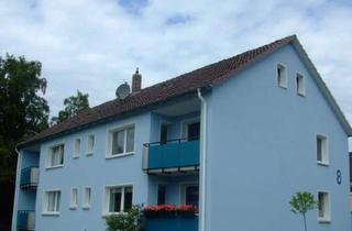 Wohnung mieten in Haldenstraße, 29323 Wietze, Erstbezug nach umfassender Sanierung