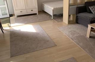 Wohnung mieten in 35444 Biebertal, Möbliertes Apartment in Biebertal 550€ Kaltmiete