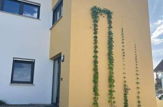Wohnung mieten in Am Anger 10, 85111 Adelschlag, Teilmöblierte 80-m²-Wohnung mit separatem Eingang
