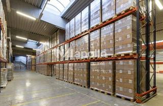 Büro zu mieten in 61449 Steinbach, Chance nutzen! | 750m² Lagerfläche | 250m² Bürofläche | Ab sofort