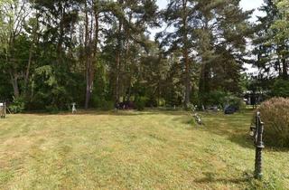 Grundstück zu kaufen in Karlstraße 16, 15345 Rehfelde, Großes Grundstück am Waldrand sucht neue Eigentümer