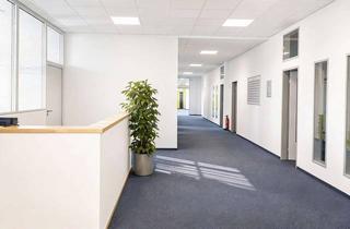 Büro zu mieten in 34123 Bettenhausen, Provisionsfrei -Kurzfristig verfügbar -- Ansprechende, moderne, großzügige Bürofläche zur Anmietung