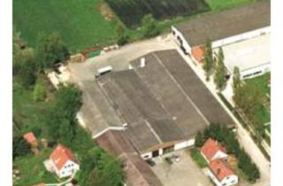 Gewerbeimmobilie kaufen in Pfalzstraße 00, 86669 Königsmoos, Gewerbeflächen mit Hallen