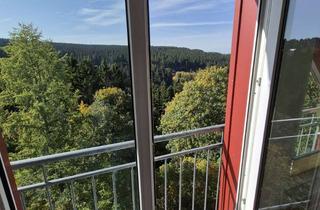 Wohnung mieten in C. Straße 13a, 98559 Oberhof, Lichtdurchflutetes Dachstudio mit Traumblick auf den Thüringer Wald