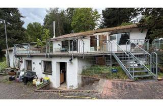 Haus kaufen in Maulbaerstraße, 55425 Waldalgesheim, Idyllisches Wochenendhaus mit ca. 5.000 m² Grundstück, Sauna, Pool und Gewächshaus – Natur, Ruhe und