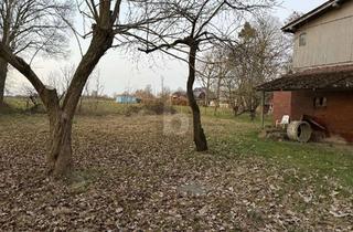 Grundstück zu kaufen in 21726 Oldendorf, BAUGRUNDSTÜCK 3.910 M² MIT ALTBESTAND