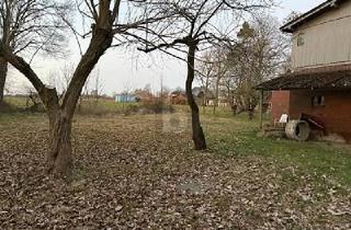 Grundstück zu kaufen in 21726 Oldendorf, Oldendorf - BAUGRUNDSTÜCK 3.910 M² MIT ALTBESTAND