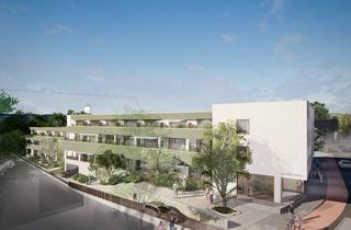 Wohnung mieten in Saulgauer Straße, 88400 Biberach an der Riß, Erstbezug: Exklusive 2-Zimmer-Neubauwohnung mit Balkon | ab 01/2027