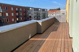 Wohnung mieten in Ilona-Elek-Weg, 14641 Wustermark, Ganz viel Platz und eine traumhafte Dachterrasse!