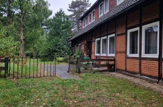 Wohnung mieten in Am Viehbruch, 29690 Lindwedel, Suche Nachmieter 1.11. Lindwedel, 1.OG