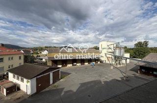 Gewerbeimmobilie kaufen in Bahnhofstraße 29, 34549 Edertal, Gewerbeimmobilie mit Lagerflächen, Bürogebäude und großzügigem Betriebsgelände