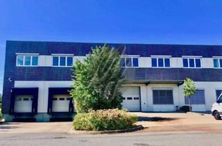 Büro zu mieten in 65451 Kelsterbach, KEINE PROVISION ✓ RAMPE + EBEN ✓ Lager-/Logistik (3.100 m²) & Büro (500 m²) zu vermieten