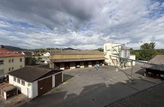 Gewerbeimmobilie kaufen in Bahnhofstraße 29, 34549 Edertal, Gewerbeimmobilie mit Lagerflächen, Bürogebäude und großzügigem Betriebsgelände