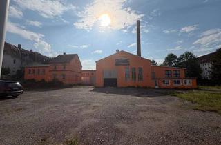 Gewerbeimmobilie kaufen in 08058 Pölbitz, Gewerbeimmobilie mit großzügigem Grundstück – vielseitig nutzbare Halle mit Büroflächen in Zwickau!