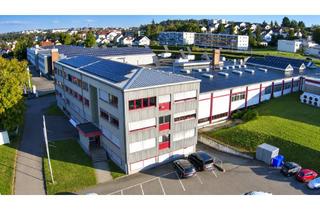 Büro zu mieten in 72379 Hechingen, Bürofläche zur Miete
