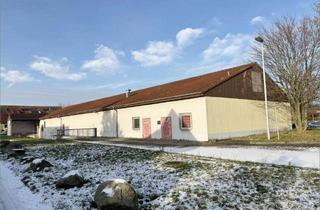Gewerbeimmobilie kaufen in 39221 Welsleben, Gewerbeimmobilie mit Lager- und Außenflächen in Bördeland OT Biere auf 4.857 m² Grundstück