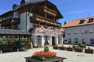 Wohnung mieten in Hauptstraße 30, 94253 Bischofsmais, 3 Zimmer Wohnung / Südseite in Bischofsmais - Erstbezug nach Renovierung