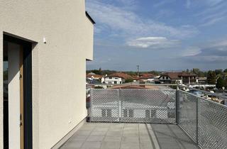 Wohnung mieten in 79227 Schallstadt, 1-Zimmer-Wohnung in Schallstadt mit Dachterasse