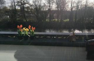 Wohnung mieten in Milter Straße 5a, 48231 Warendorf, Wohnung mit Seeblick in Warendorf