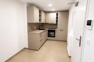 Wohnung mieten in 76726 Germersheim, Historischer Charme trifft modernen Wohnkomfort – sanierte Etagenwohnung mit Einbauküche