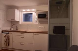 Wohnung mieten in Bogenstraße 17, 64579 Gernsheim, Stilvoll modernisiert: Möbelierte Einzimmerwohnung in Gernsheim